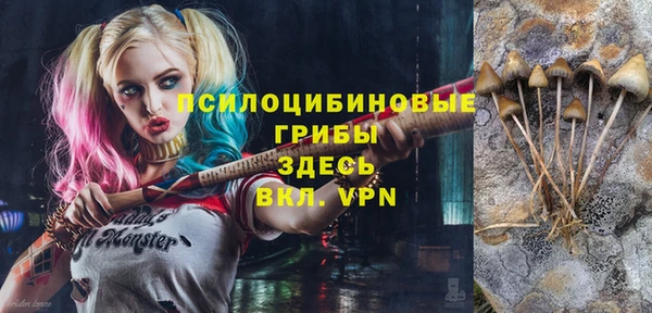 дживик Белоозёрский