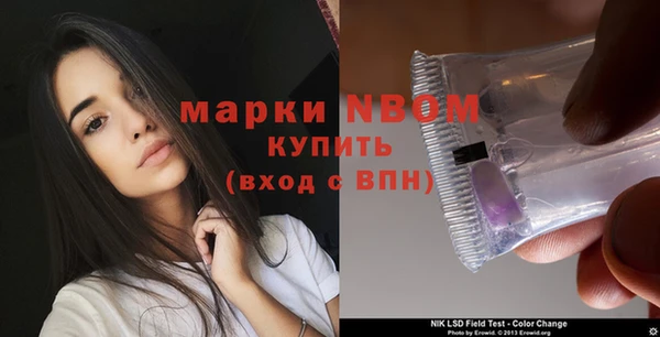 трава Белокуриха