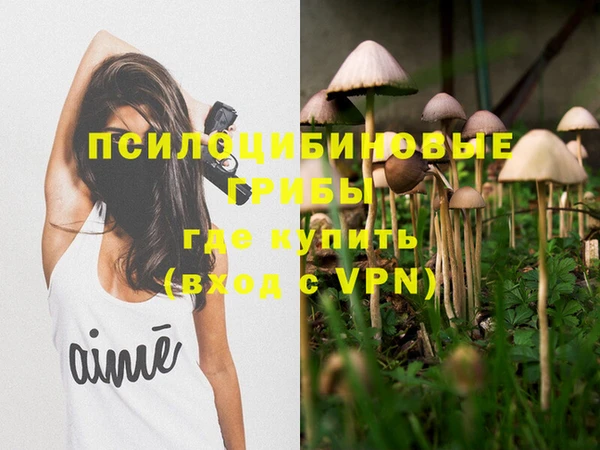 дживик Белоозёрский