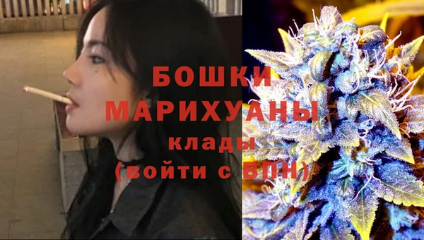 трава Белокуриха