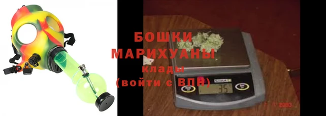 трава Белокуриха