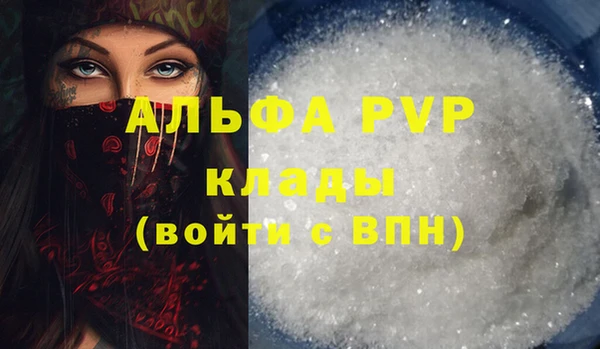 трава Белокуриха