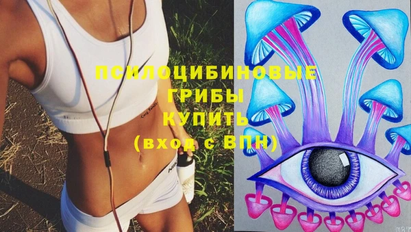 дживик Белоозёрский