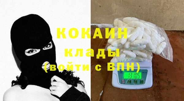 трава Белокуриха